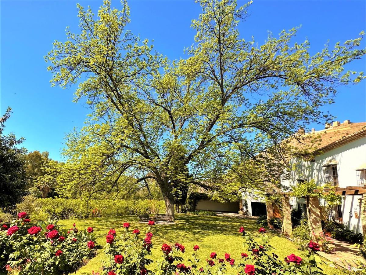 アロラ Casa Santa Catalinaヴィラ エクステリア 写真